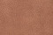 SAFARI SAFRON BROWN (Dabiga ada)  + 300,00€ 