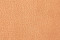 SAFARI HAVANA BROWN (Dabiga ada)  + 300,00€ 