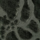 Vaip VENERE STONE VERDE BOSCO
